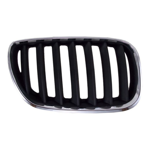 Решетка радиатора  BMW X5 (E53) 2003-2006 FL, справа (R) Арт. STBMX5093C1