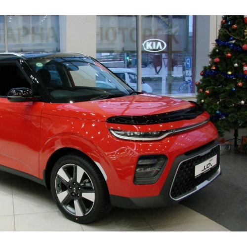 Дефлектор капота SIM для Kia Soul, арт.SKISOU1912