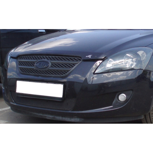 Дефлектор капота EGR для Kia Ceed, арт.BRE9318DS