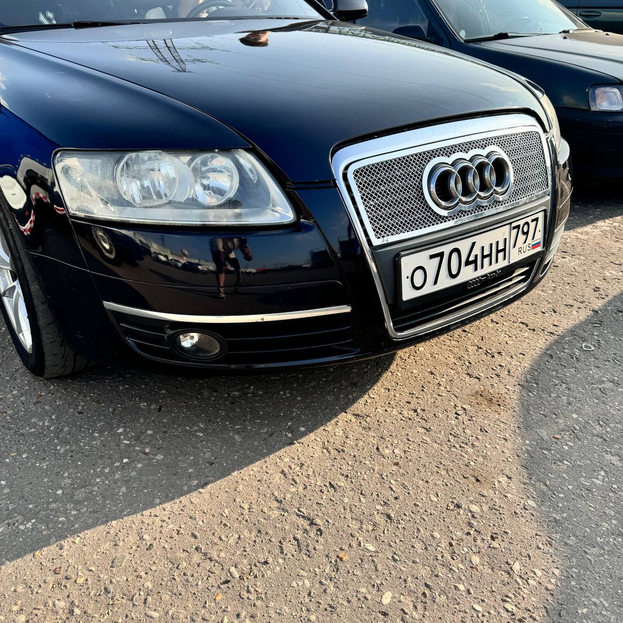 Сетка на решетку радиатора Audi A6 (C6) 2004-2008