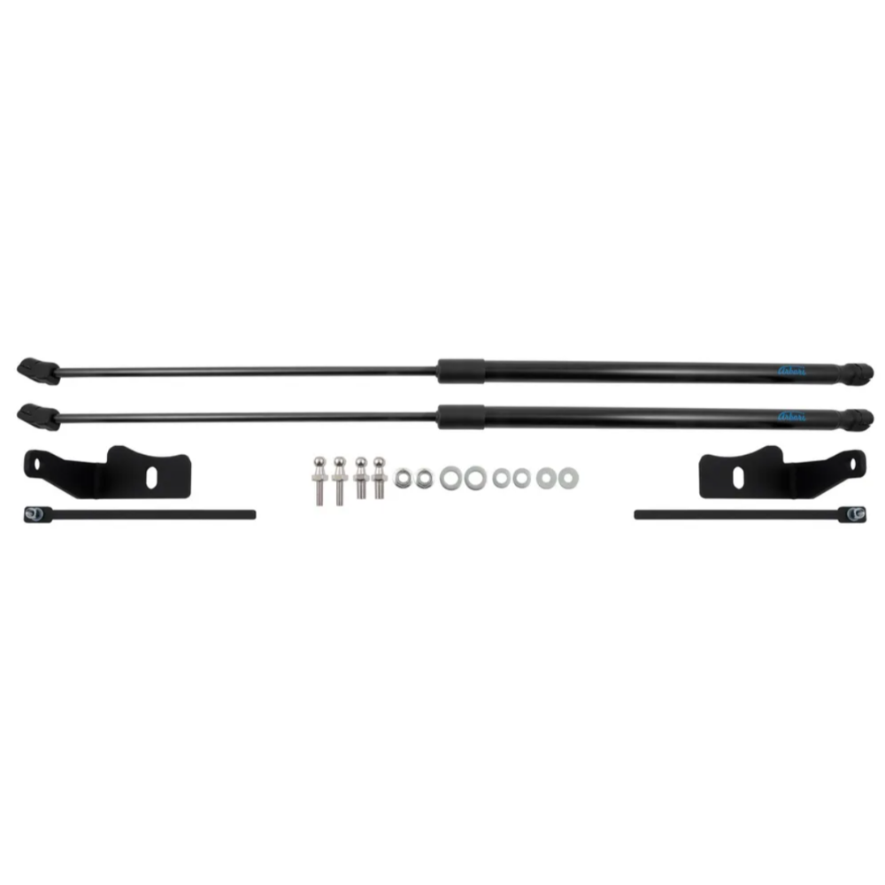Амортизаторы капота  Dongfeng DFSK 600 Glory 2025-,  Арт. ARBORIHD076102